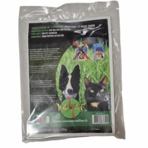 Tapis de transport