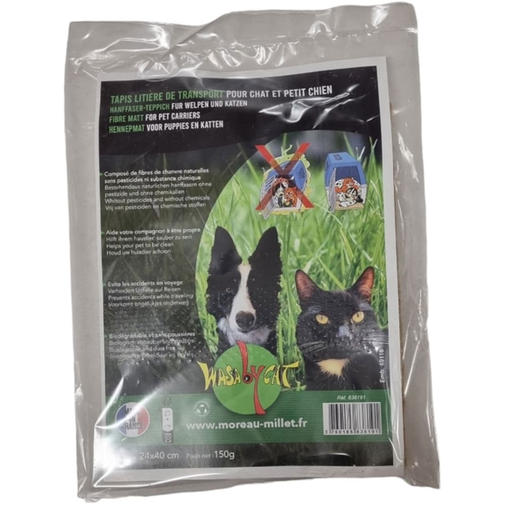 Tapis de transport
