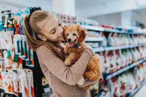 Nourriture, jouets, confort : ce qu’il faut emporter pour son chien en vacances