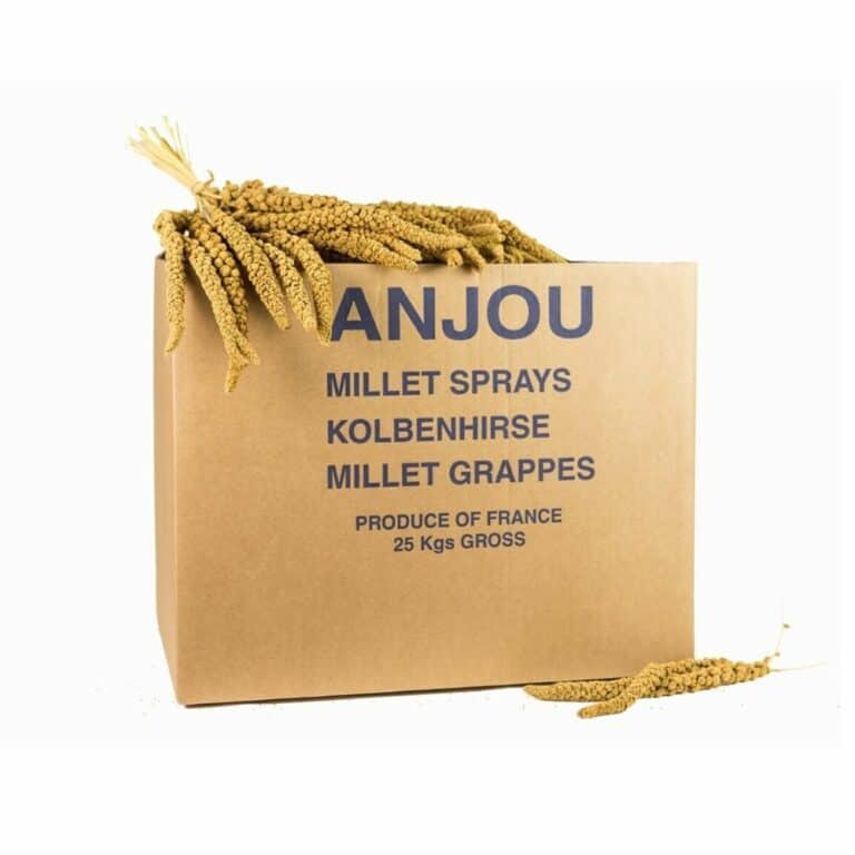 Millet en boite 25 lb pour oiseaux main image 0
