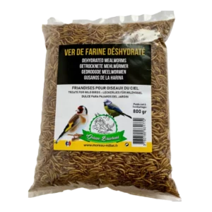 Des vers de farine pour les oiseaux insectivores