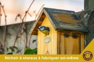 Lire la suite à propos de l’article Nichoir à oiseaux à fabriquer soi-même : dimensions, bois et pose