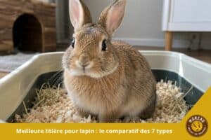 Lire la suite à propos de l’article Meilleure litière pour lapin : le comparatif des 7 types